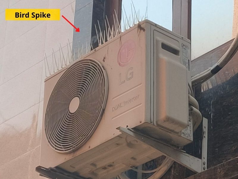 bird spike on split ac